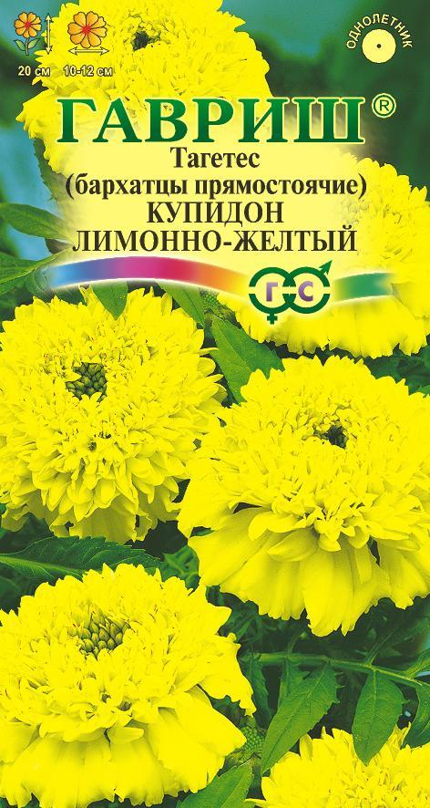 Бархатцы Купидон Лимонно-желтый прямост, 20см, однол 0,05гр Гавриш/ЦВ