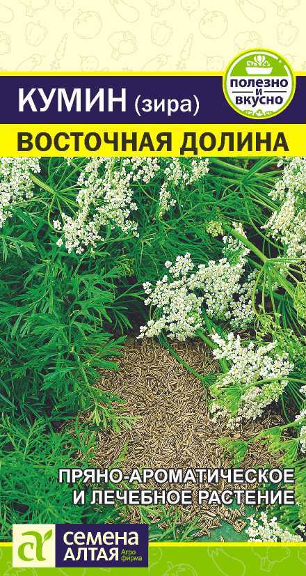 Пряность Зира (кумин) Восточная Долина куст, 20-50см 1гр СА/ЦВ