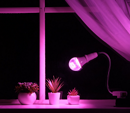 Фитолампа Светодиодная 300мм 12вт Luazon Lighting 4797698