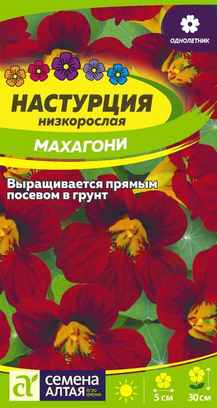 Настурция Махагони низкор, красная, 30см, однол 1гр СА/ЦВ