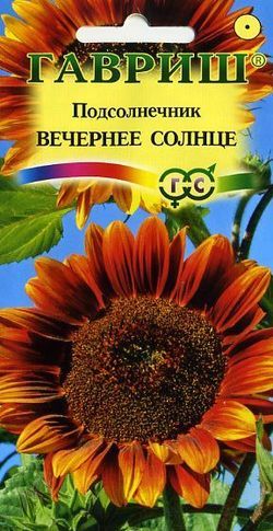 Подсолнечник Вечернее Солнце декор, от 2,5м, однол 0,5гр