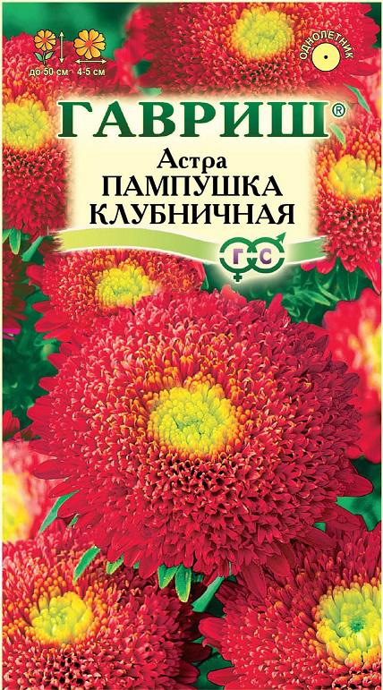 Астра Пампушка Клубничная помп, махр, красная, 50см 0,3гр Гавриш/ЦВ