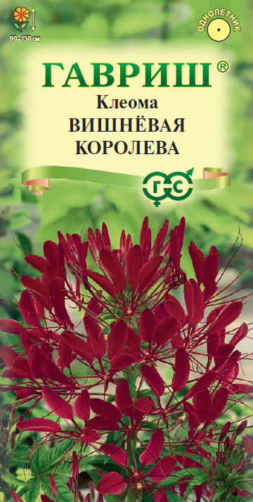 Клеома Вишневая Королева игол, вишневая, 90-150см, однол 0,3гр Гавриш/ЦВ