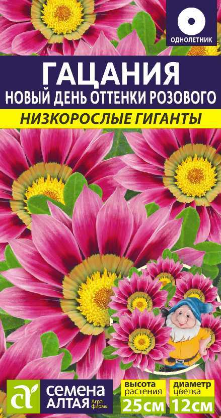 Гацания Новый день Оттенки Розового низкор гиганты, 25см, однол 5шт СА/ЦВ