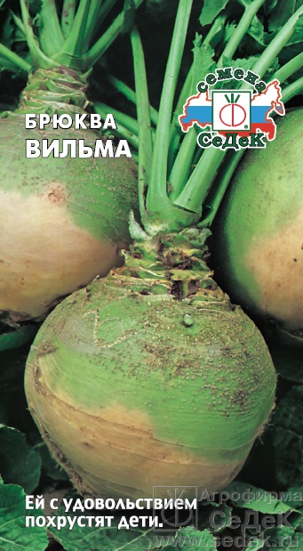 С Брюква Вильма среднеранний 0,5гр Седек/БП