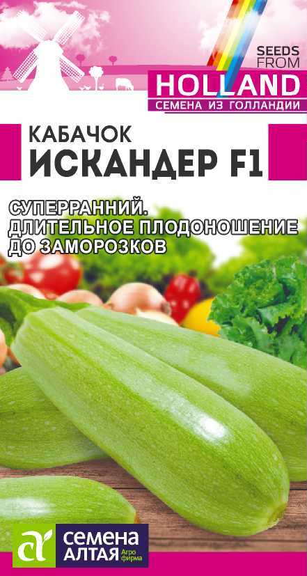 Кабачок Искандер F1 суперранний, зеленый, куст 5шт Голландия СА/ЦВ