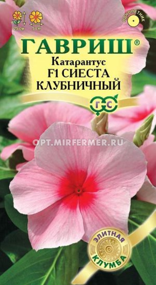 Катарантус Сиеста клубничный F1 5 шт Гавриш/ЦВ 1/10