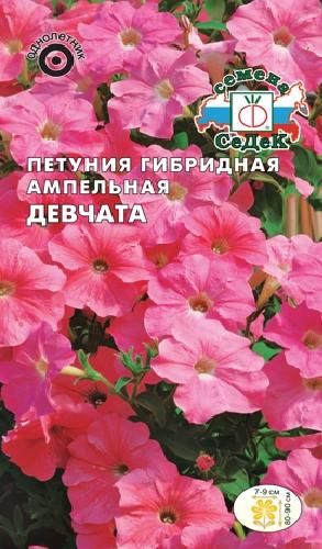 Петуния крупноцв Девчата F1 розово-лососевая,80-90см, 10шт Седек/ЦВ