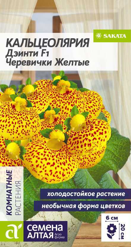 Кальцеолярия Дэинти F1 Черевички желтые 18-20см 5шт СА/ЦВ