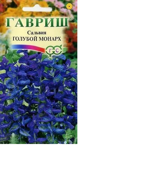 Сальвия Голубой Монарх (хорминум) син-фиолет, 70см, однол 0,05гр Гавриш/ЦВ 1/10
