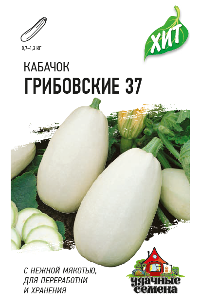 Кабачок Грибовский 37 среднеранний, светло-зеленый, куст ХИТ 1,5гр Гавриш/ЦВ