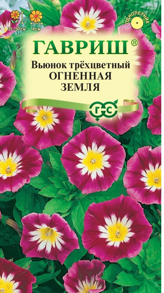 Вьюнок Трехцветный Огненная земля, т-розов, однол, 35-50см 0,5гр Гавриш/ЦВ 1/10