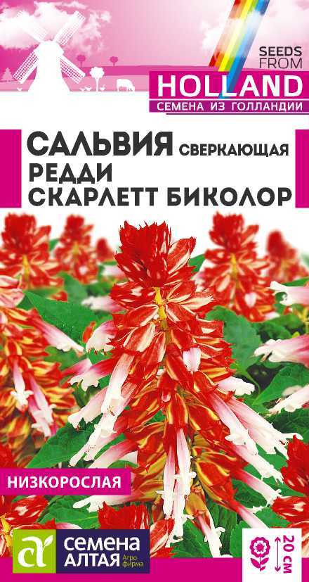 Сальвия Редди Скарлет сверкающая Биколор 20см, однол 5шт СА/ЦВ 1/10