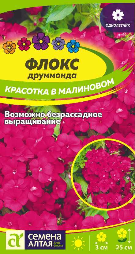 Флокс друммонди Красотка в Малиновом низкор, малиново-красный, 25см, однол 0,1гр/0,05гр СА/ЦВ