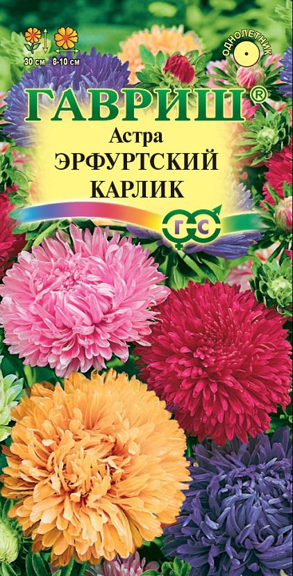 Астра Эрфуртский Карлик Смесь помп, махр, до 30см, однол 0,3гр
