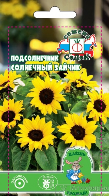 Подсолнечник Солнечный Зайчик низкорослый, золотисто-желтый,40см, 0,5гр Седек/ЦВ