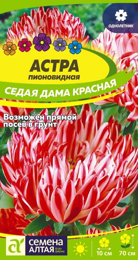 С Ц Астра Седая Дама Красная пионовид, махр, 70см, однол 0,2гр/0,1гр СА/ЦВ