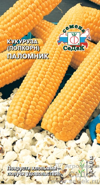 Кукуруза попкорн Паломник скороспелая 5гр Седек/ЦВ