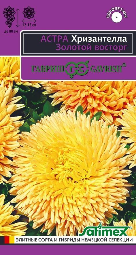 С Ц Астра (Хризантелла) Золотой Восторг нежно-сиреневая, 60-80см 0,05гр Гавриш/ЦВ