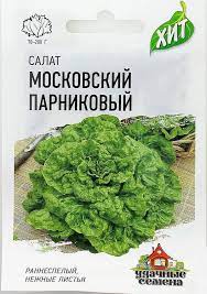 Салат Московский Парниковый листовой, раннеспелый ХИТ 0,5гр Гавриш/ЦВ