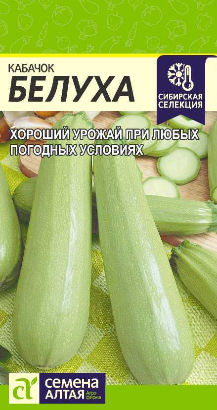 Кабачок Белуха раннеспелый, светло-зеленый, куст 2гр СА/ЦВ