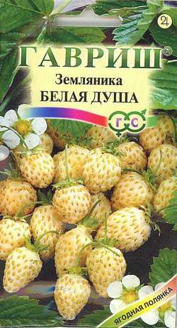 Земляника Белая Душа ремонтантная, белая 0,03гр Гавриш/ЦВ