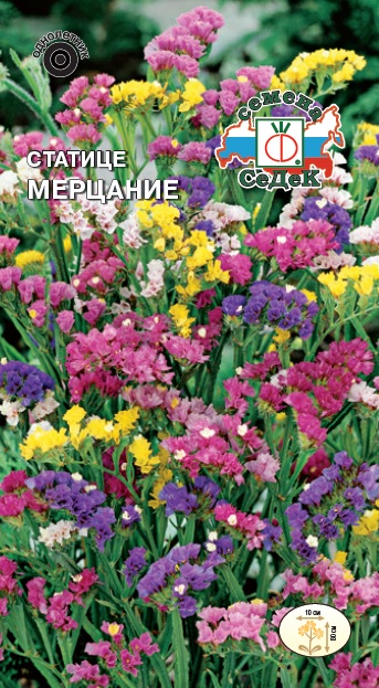 Статица Мерцание срезочный сухоцвет, смесь 80см, однол 0,2гр Седек/ЦВ
