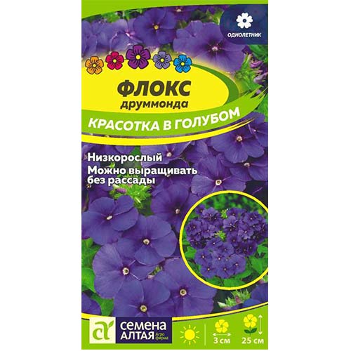 Флокс друммонди Красотка в Голубом низкор, голубой, 25см, однол 0,1гр/0,05гр СА/ЦВ
