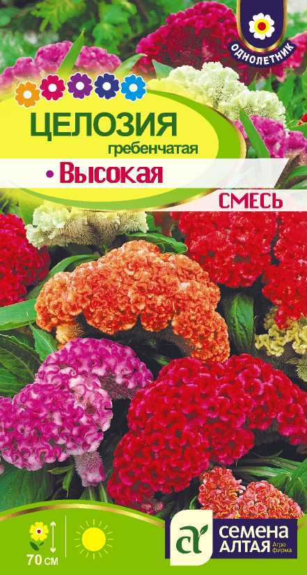 Целозия гребенчатая Высокая Смесь высокор, 70см 0,1гр СА/ЦВ