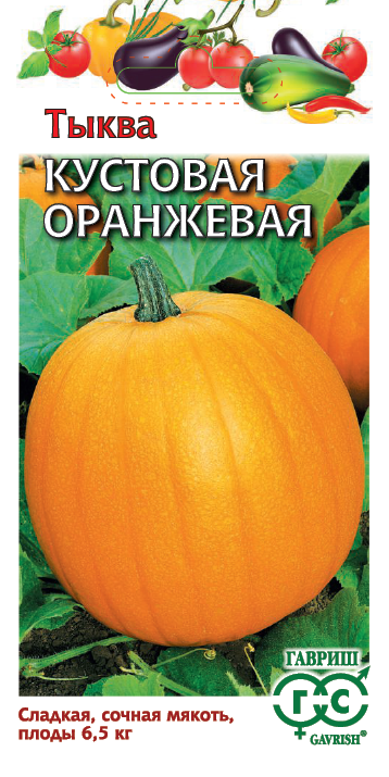 Тыква Кустовая Оранжевая среднеспелая, кустовая 1гр Гавриш/ЦВ