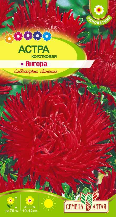 С Ц Астра Ангора когот, махр, красная до 70см, однол 0,2гр СА/ЦВ
