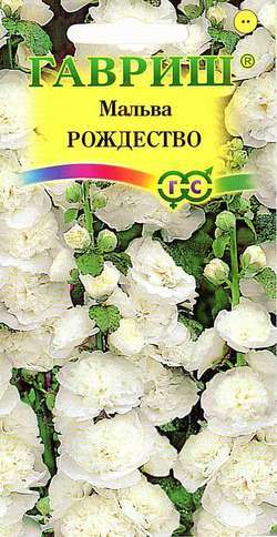 Мальва (Шток-роза) Рождество крупноцв, белая, до 2,5м, двул 0,1гр Гавриш/ЦВ