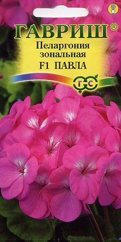 Пеларгония Павла F1 зональная, фиолетово-розовая, 35см 4шт Гавриш/ЦВ