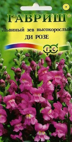 Львиный зев высокор Ди Розе крупноцв, светло-розовый, 70-90см, однол 0,05гр Гавриш/ЦВ