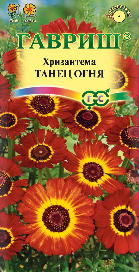 Хризантема Танец Огня 0,5гр Гавриш/ЦВ