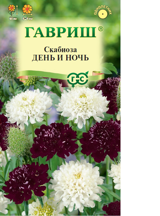 Скабиоза пурпурная День и ночь Смесь однол 0,2гр Гавриш/ЦВ 1/10