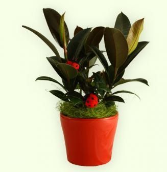 Кашпо 301070AF(15) Simply Chic rosso 2,0л б/п d14 Эльза