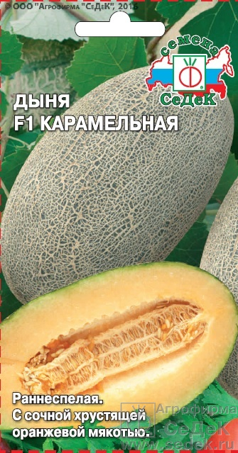 Дыня Карамельная F1 раннеспелая 0,5гр Седек/ЦВ