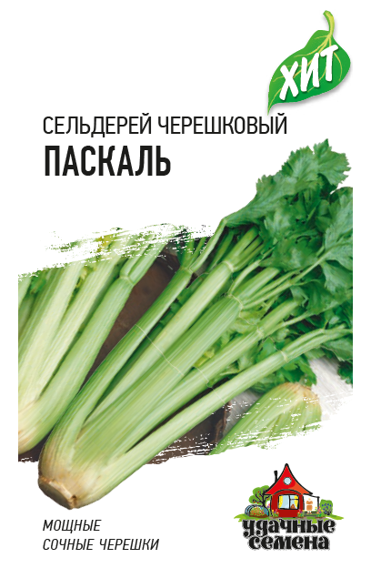 Сельдерей черешковый Паскаль среднеспелый ХИТ 0,1гр Гавриш/ЦВ