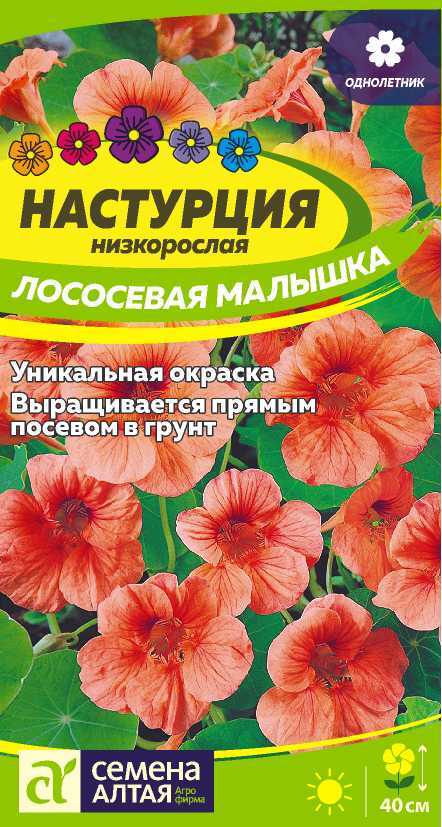 Настурция Лососевая Малышка низкор, лососевая, 40см, однол 1гр СА/ЦВ