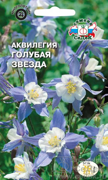 Аквилегия Голубая Звезда мног, 60см 0,1гр Седек/ЦВ