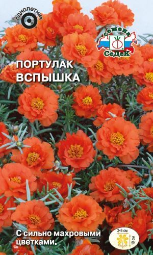 Портулак Вспышка махровый, крупноцв, оранжевый, 10см, однол 0,06гр Седек/ЦВ