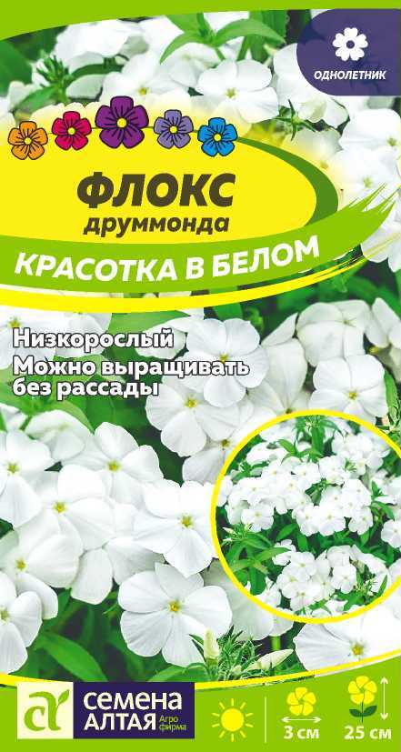 Флокс друммонди Красотка в Белом низкор, белоснежный, 25см, однол 0,1гр СА/ЦВ