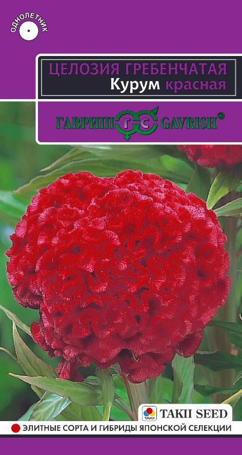 Целозия гребенчатая Курум Красная 70-120см, однол 8шт Гавриш/ЦВ 1/10