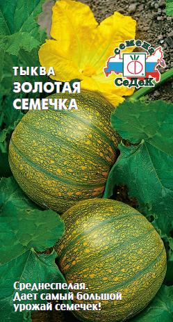 Тыква Золотая Семечка столовая, среднеспелая, плетистая 2гр Седек/ЦВ 1/10