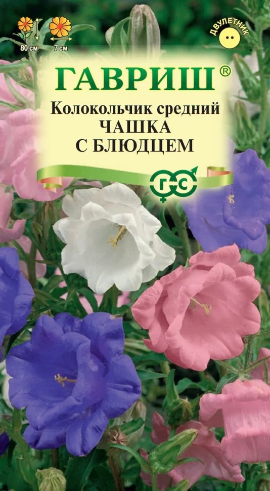 Колокольчик средний Чашка с Блюдцем смесь 80см, двул 0,05гр Гавриш/ЦВ 1/10