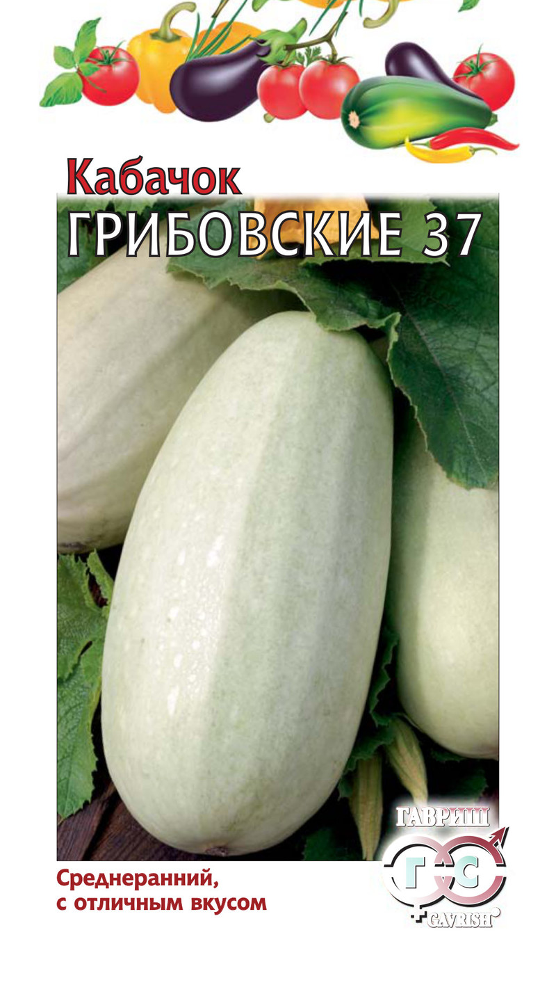 Кабачок Грибовский 37 среднеранний, светло-зеленый, куст 2гр Гавриш/БП