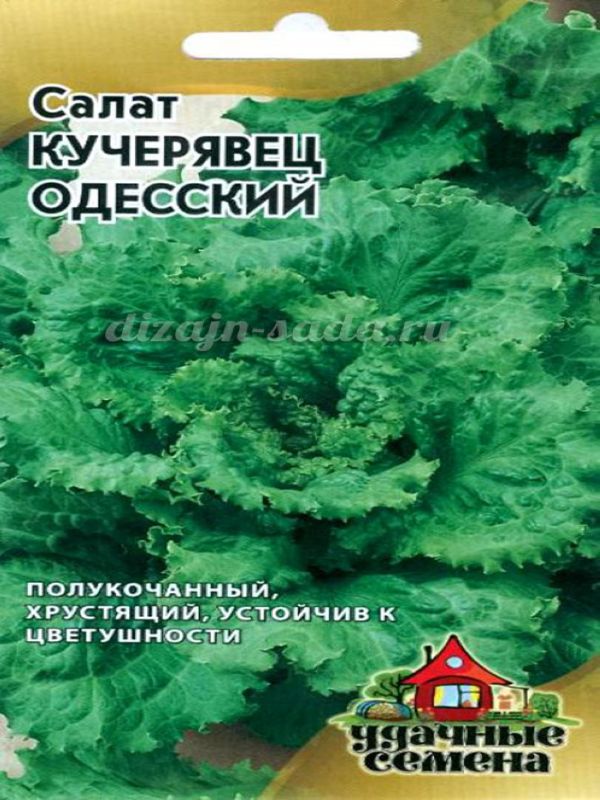 Салат Кучерявец Одесский полукочанный, среднеспелый 0,5гр Гавриш/БП