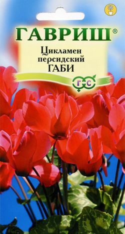 Цикламен персидский Габи мини 3шт Гавриш/ЦВ