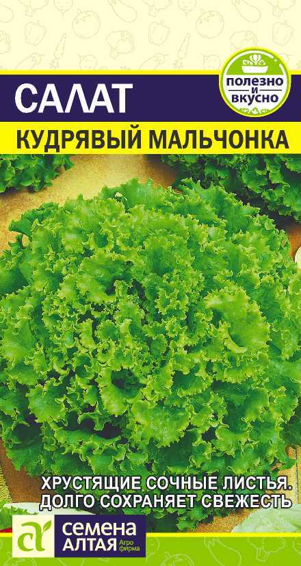 Салат Кудрявый Мальчонка листовой, среднепоздний 0,5гр СА/ЦВ 1/10
